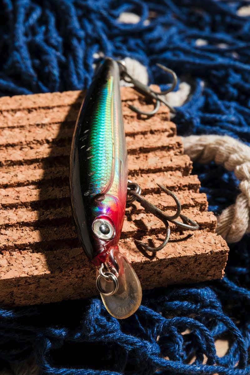 La pesca en ria ha aumentado un 20%